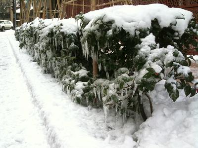 金沢の街は凍っているけど