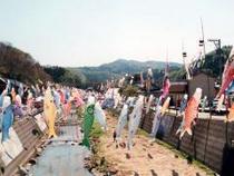 大谷川「鯉のぼりフェスティバル」
