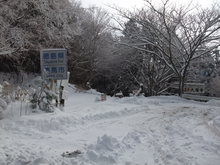 2014冬 歩き遍路　トピックス(1)