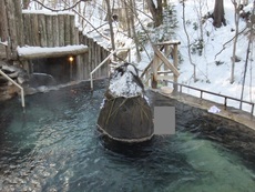 北海道の温泉（１９）　ぬかびら温泉「湯元館」