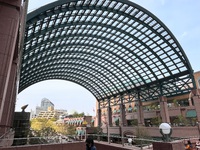 ◆Eric Clapton LIVE at 武道館2025 出張レポート!! by 沢田◆
