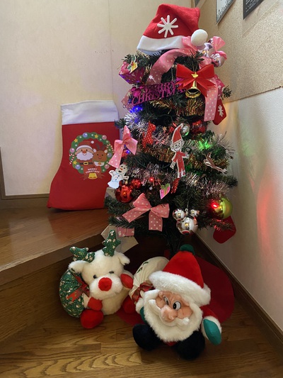 せっかくのクリスマスなので