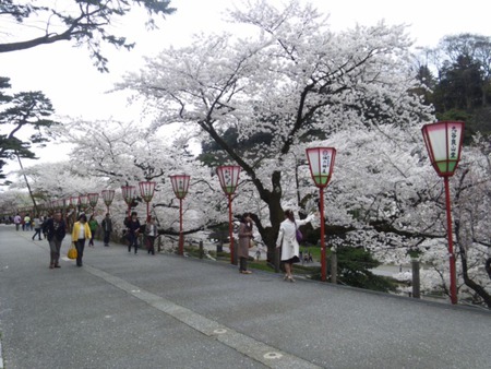 桜吹雪が綺麗ですね(o^_^o)